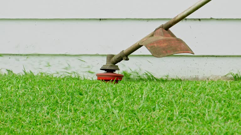 Best Tree Disease Treatment  in Woodall, OK