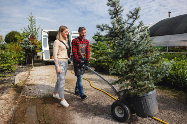 Best Fruit Tree Pruning  in Woodall, OK